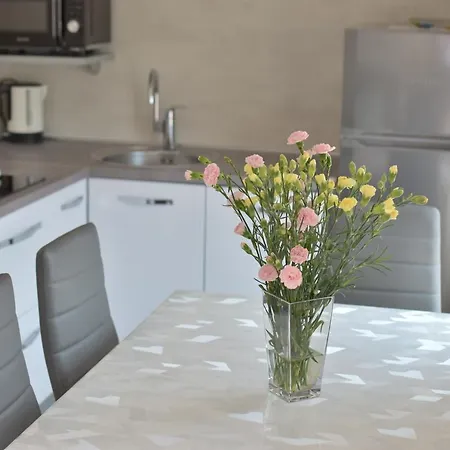 Apartman Pancur Porec